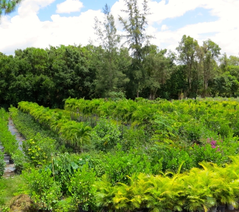 M&L Nursery - Loxahatchee, FL