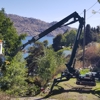 Lake Chelan Tree Service gallery