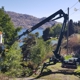 Lake Chelan Tree Service