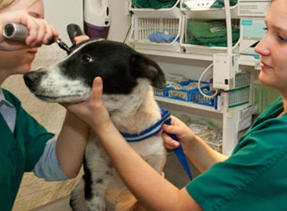Allora Veterinary Clinic - Allora, QLD