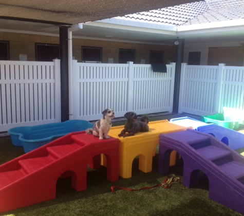 Paw Park Pet Resort - Woodburn, NSW