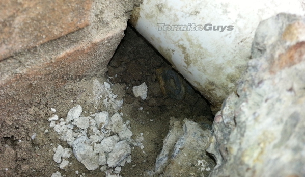 Termite Guys Brisbane