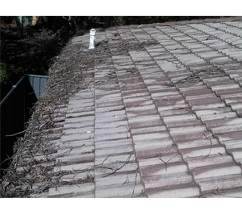 M & J Tree Surgeons