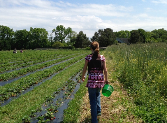 Cullipher Farm Market - Virginia Beach, VA