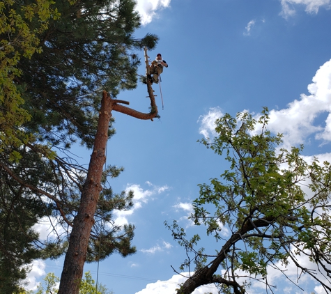 Weber Davis Tree Service - Ogden, UT