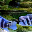 Reef Pet Shop - Aquariums & Aquarium Supplies