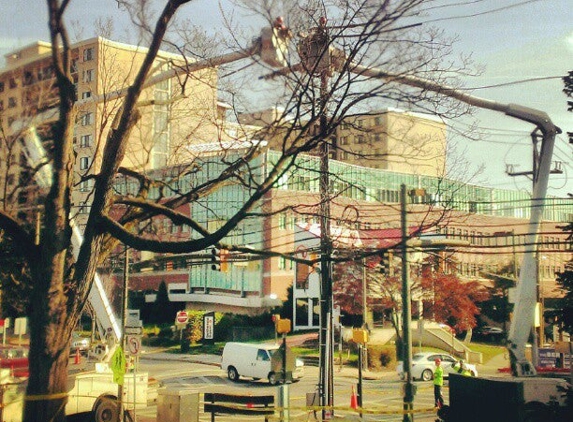 Our Lady of Lourdes - Bethesda, MD