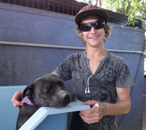 Homebush Boarding Kennels & Cattery - Homebush, QLD