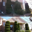 Tanglewood Tree and Lawn LLC - Tree Service