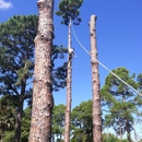 Arbor Outlawz Tree Removal - Tree Service