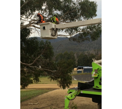 Stump Pro - Hobart, TAS