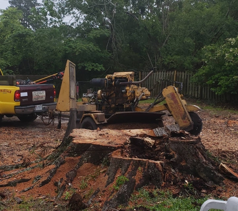 Michael's Tree Service - Jacksonville, NC. huge stump!