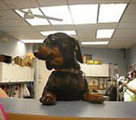 Brookline Dog Grooming, Inc - Brookline, MA