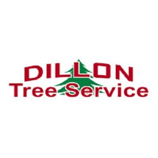 Dillon Tree Service - Shrewsbury, MA