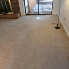 Raptor Carpet Cleaning