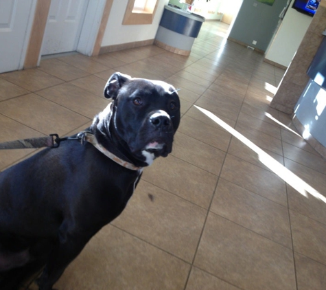 Midland Animal Clinic - Poway, CA