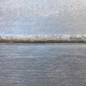 Gallery Image Number 4
