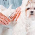 Michelle's Pampered Pets