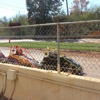 Airport Speedway gallery