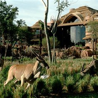 Disney's Animal Kingdom Theme Park - Lake Buena Vista, FL