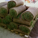 Sod and Seed - Sod & Sodding Service