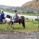 Maybury Brook Stables, - Horse Stables