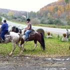 Maybury Brook Stables,