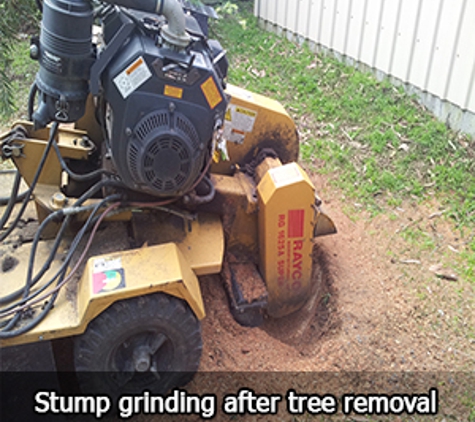 Aussie Tree Services - Wyee Point, NSW. Stump grinding after tree removal