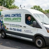 Animal Control & Removal Lafayette gallery