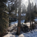 Great Alaska Tree Company - Tree Service