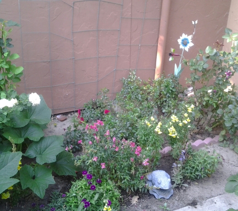 Moana Nursery - Reno, NV. My spring garden 2014.
