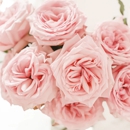 Floral Obsessions - Flowers, Plants & Trees-Silk, Dried, Etc.-Retail