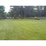 Gallery Image Number 5