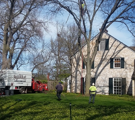 Squirrels Tree Service - Waukegan, IL