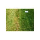 TruGreen