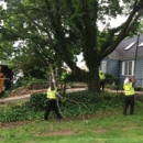 South Jersey Tree Service - Tree Service