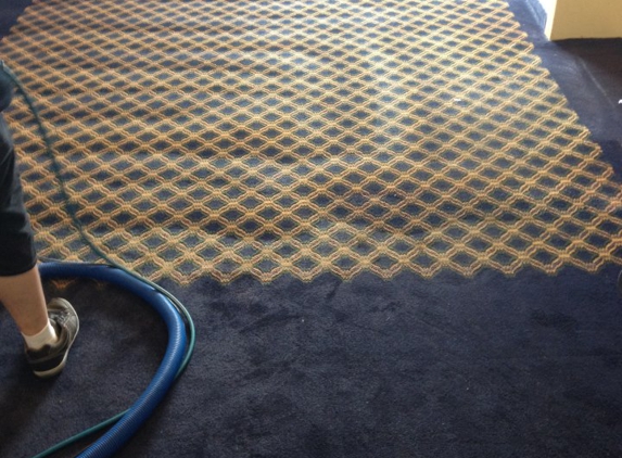 Bee Clean Carpets - Dover, DE