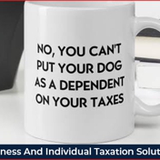 Gallery Image Number 7