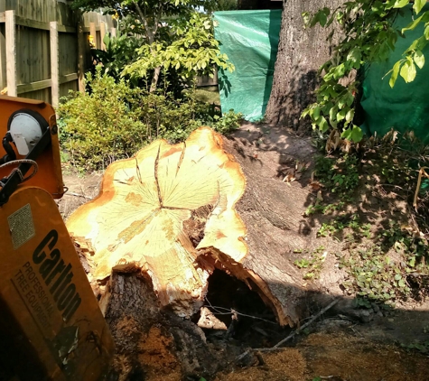 Jimmy's stump grinding service - Texarkana, TX