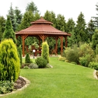 Precision Lawn Care & Landscapes