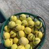 River Ridge Golf Club gallery