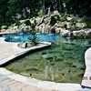 East Coast Pool Concepts gallery