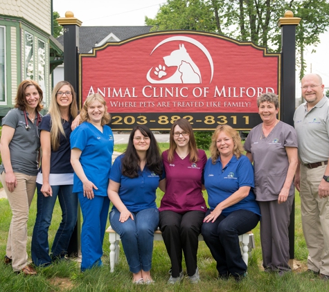 Animal Clinic of Milford - Milford, CT