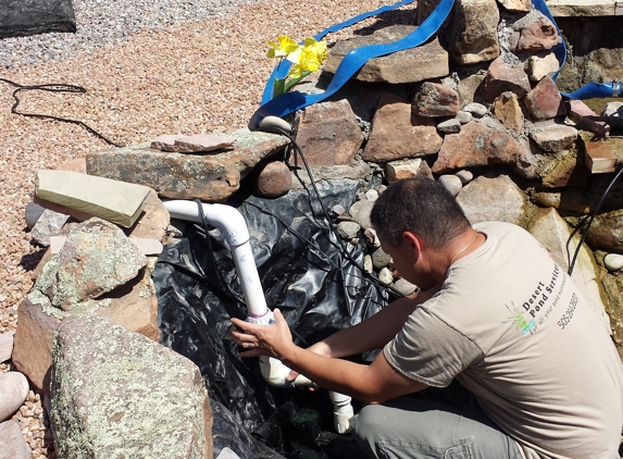 Desert Pond Services - Rio Rancho, NM