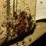 Photo #01