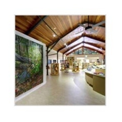 Gallery Image Number 6