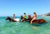 Cooee Tours - Bus & Coach Charters & Tours
