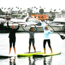 PADDLE SURF WAREHOUSE - Surfboards