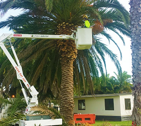 Branching Out Tree Care - Barragup, WA