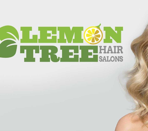 Lemon Tree Hair Salon Massapequa - Massapequa, NY